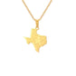 Texas Stainless Steel Necklace
